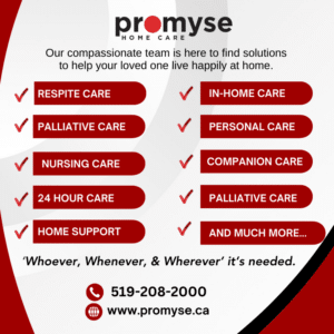 Infographic of the Services Promyse Home Care offers.