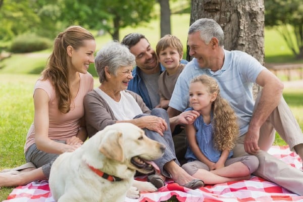 Interactions with family members and pets is a perfect way to combat isolation & loneliness for our senior loved ones.