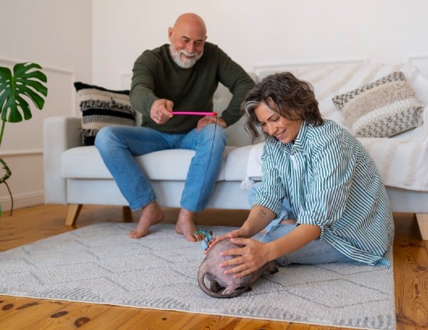 couple with dementia playing with cat to improve mood.